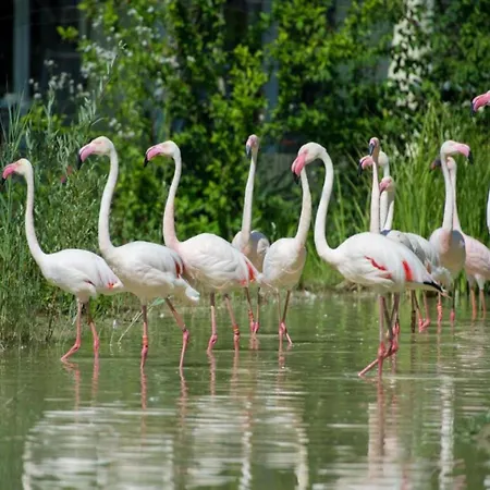 Lakeside Comfort In Hallschlag
