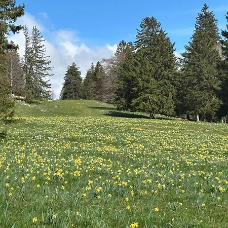 Lakeside Comfort In 別荘