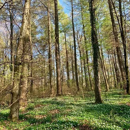 Lakeside Comfort In 別荘 *