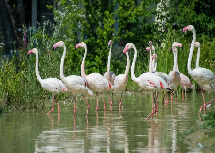 Lakeside Comfort In Hallschlag