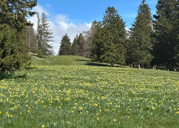 Lakeside Comfort In Casa de Férias